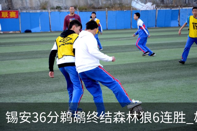 锡安36分鹈鹕终结森林狼6连胜 雄鹿险胜公牛